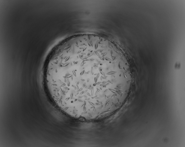 X0000102860342200809081311