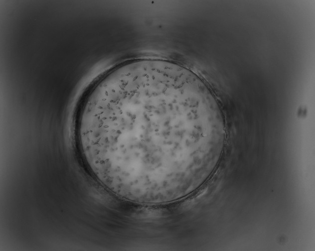 X0000102860343200809081311