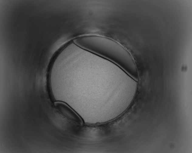 X0000102860344200809081311