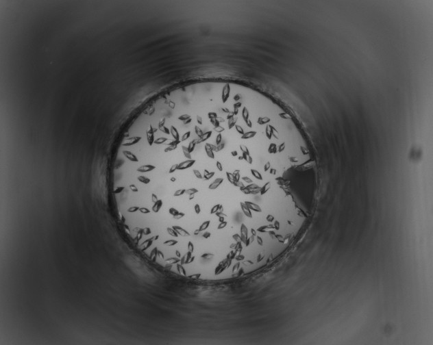 X0000102860345200809081311