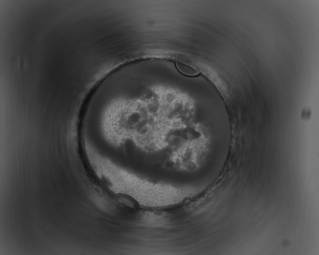 X0000102860346200809081311