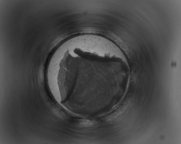 X0000102860347200809081311