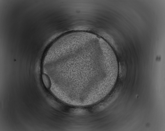 X0000102860348200809081311