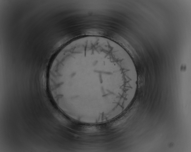 X0000102860349200809081311