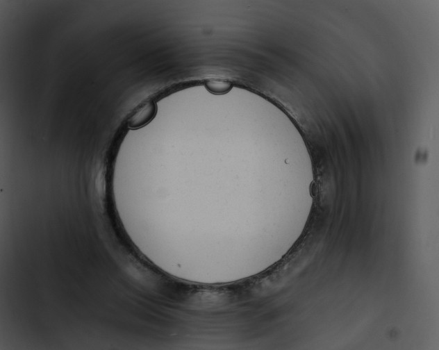 X0000102860350200809081311