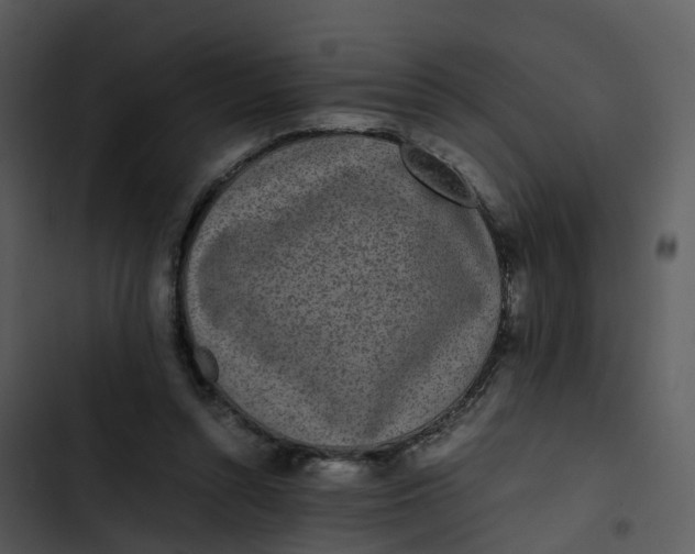 X0000102860352200809081311