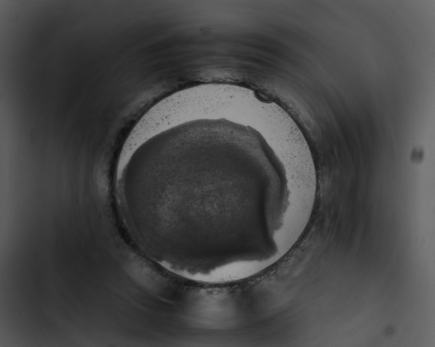 X0000102860353200809081311