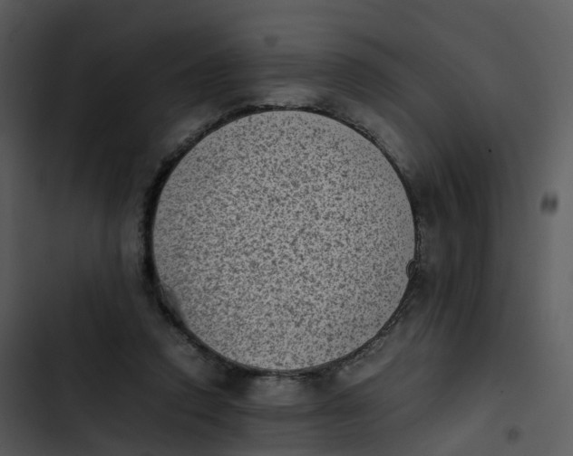 X0000102860354200809081311