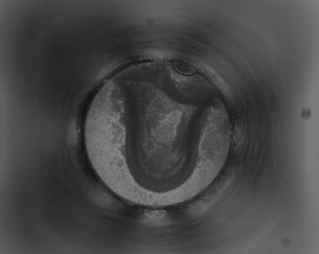 X0000102860355200809081311