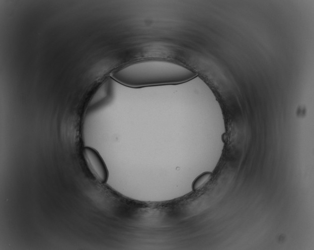 X0000102860356200809081311