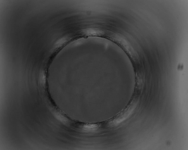 X0000102860357200809081311