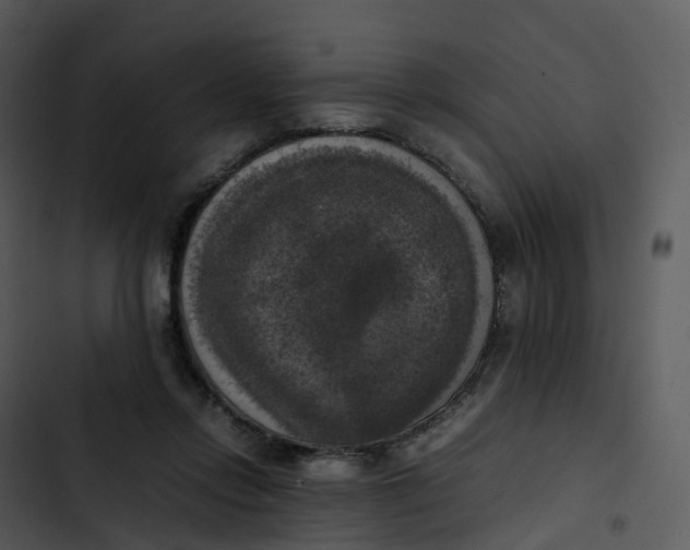 X0000102860358200809081311