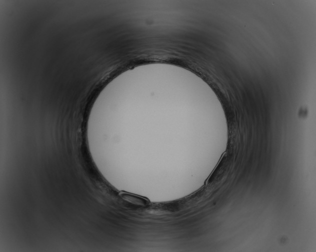 X0000102860360200809081311