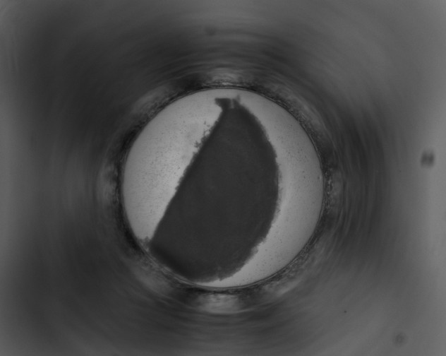 X0000102860361200809081311