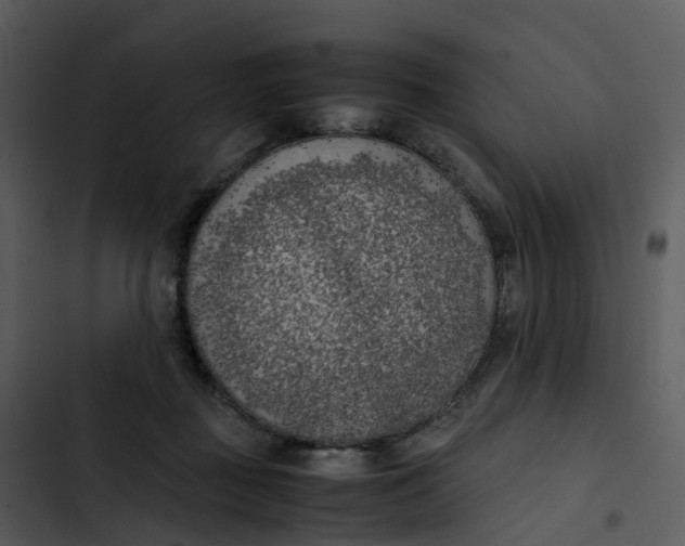 X0000102860363200809081311