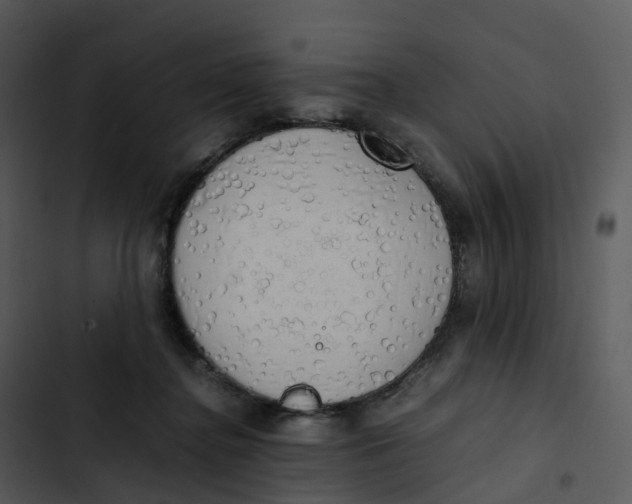 X0000102860364200809081311