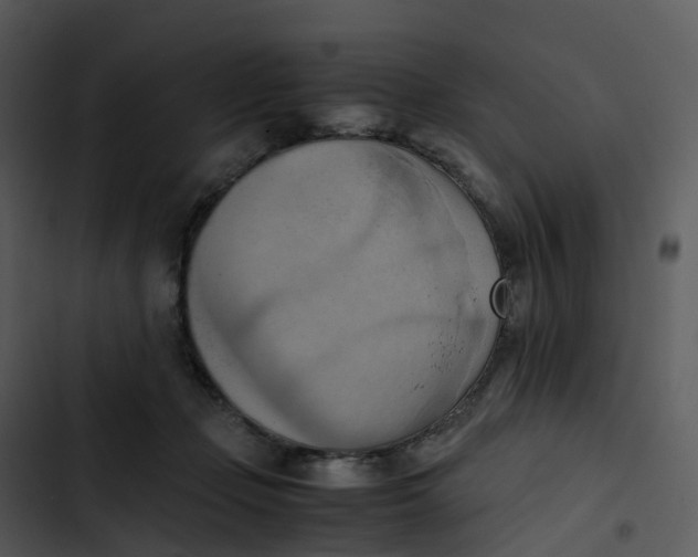 X0000102860365200809081311