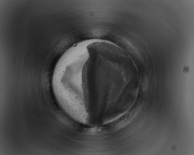 X0000102860366200809081311