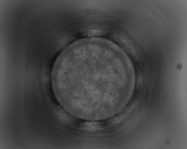 X0000102860367200809081311