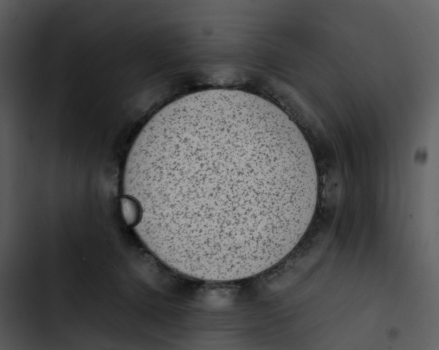 X0000102860368200809081311