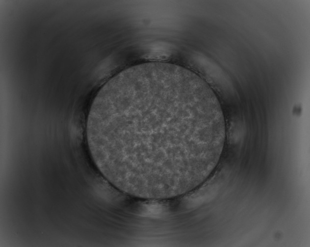 X0000102860370200809081311