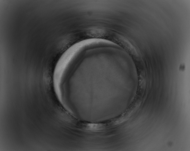 X0000102860371200809081311