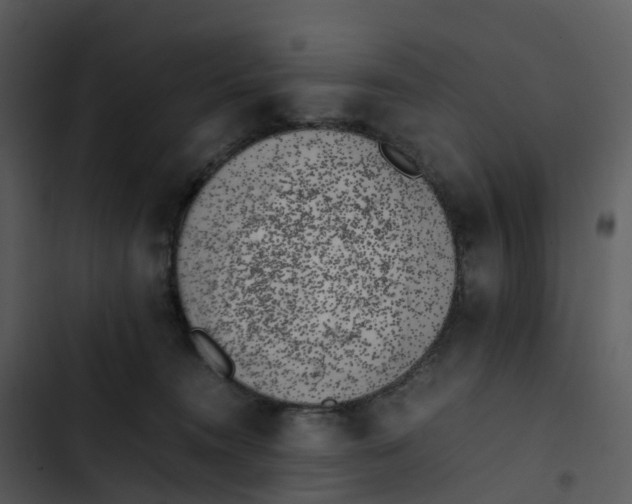 X0000102860372200809081312