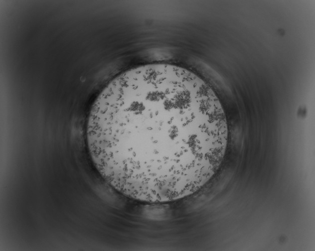 X0000102860373200809081312