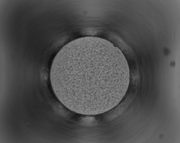 X0000102860374200809081312