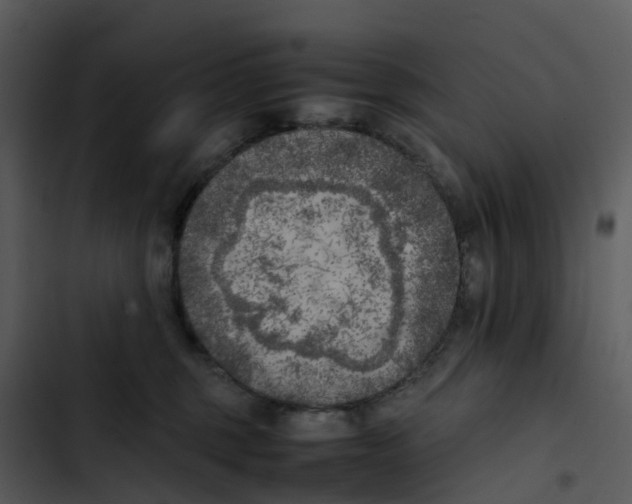 X0000102860375200809081312