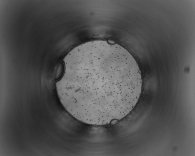 X0000102860376200809081312