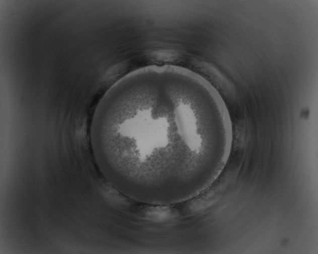 X0000102860377200809081312