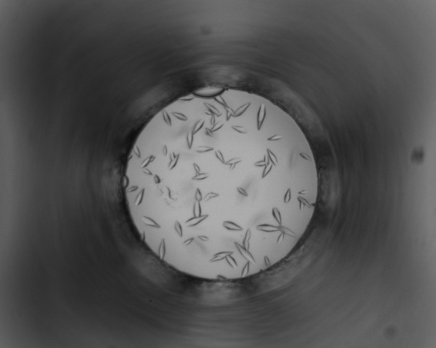 X0000102860378200809081312