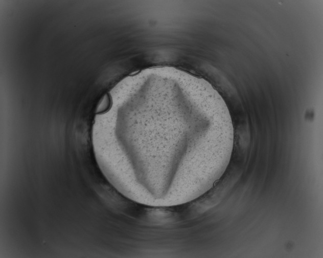 X0000102860380200809081312