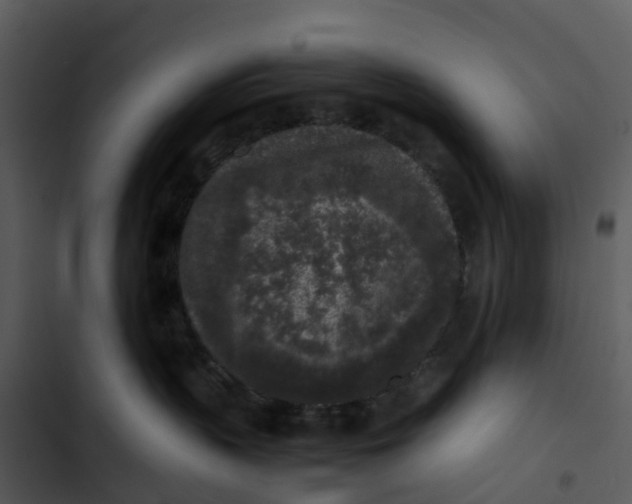 X0000102860383200809081312