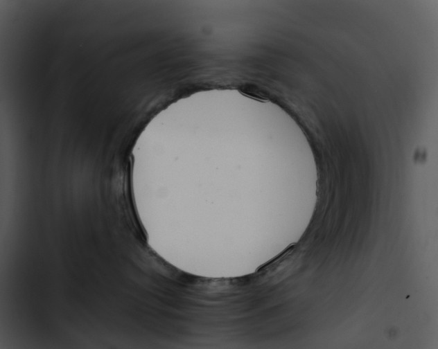 X0000102860384200809081312