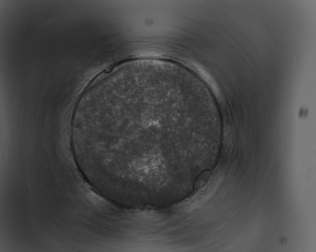 X0000102860385200809081311