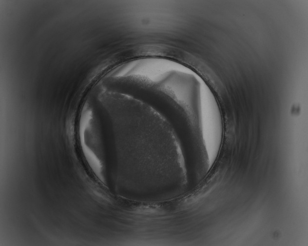 X0000102860386200809081311