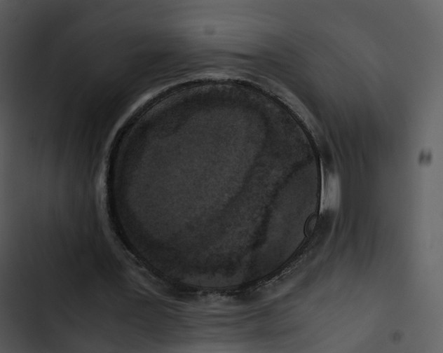 X0000102860387200809081311