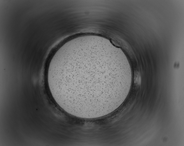 X0000102860388200809081311