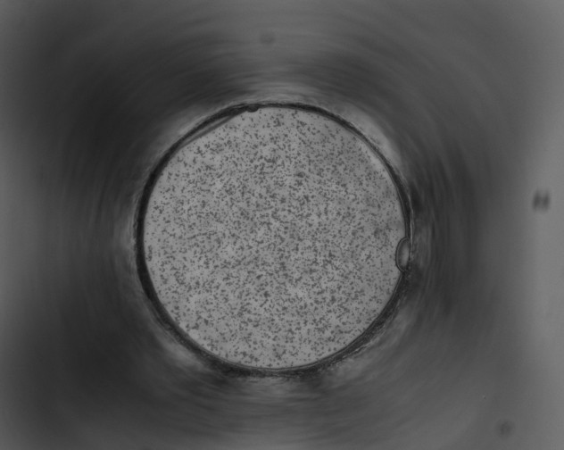 X0000102860389200809081311