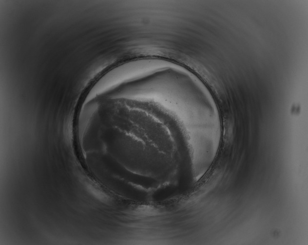 X0000102860390200809081311