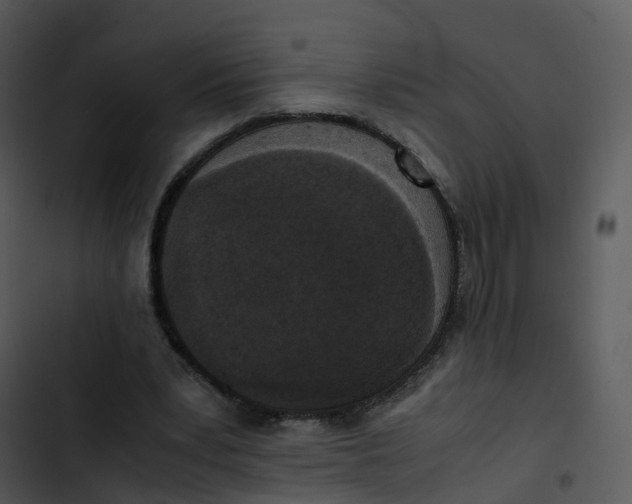 X0000102860391200809081311