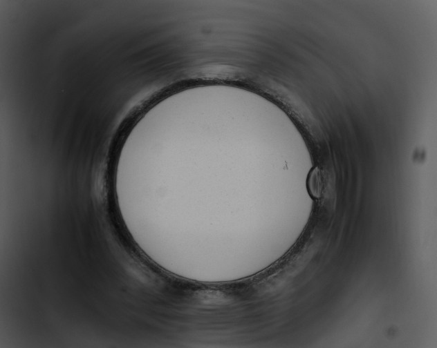 X0000102860392200809081311