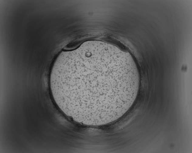 X0000102860393200809081311