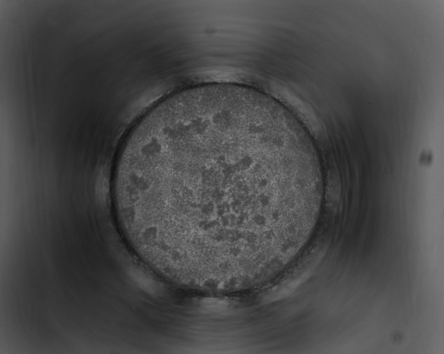 X0000102860394200809081311