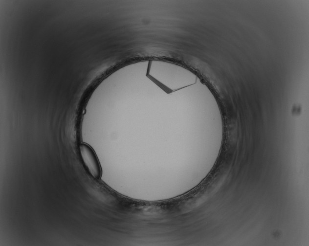 X0000102860395200809081311