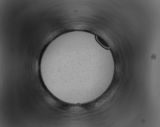 X0000102860397200809081311