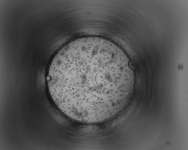 X0000102860398200809081311