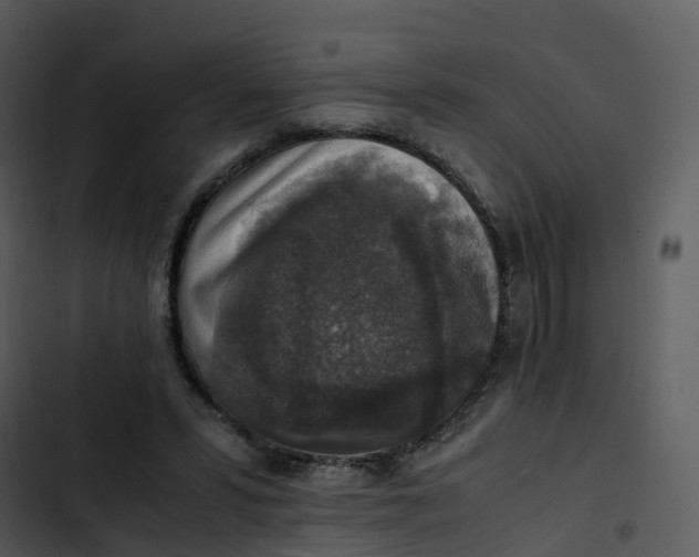 X0000102860399200809081311